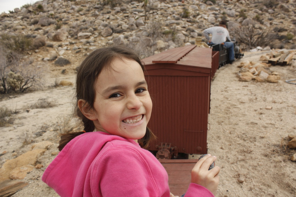 joshua tree southern12